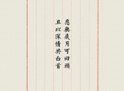 开云体育中国-冰火两重天，2026世界杯强弱对话，加拿大枫暴压制泰国，努涅斯独舞抢尽风头