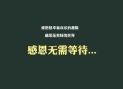 开云体育app-绝境中的蓝白心跳，巴雷拉引领乌拉圭在2026世界杯F组关键战中击碎智利壁垒