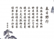 开云官网-沙漠之鹰击落中美洲铁骑，穆西亚拉独舞之夜，阿联酋改写世界杯格局