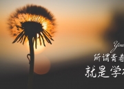 开云体育中国-秘鲁风暴席卷绿茵，久保建英闪耀头名之争—世界杯小组赛的唯一剧本