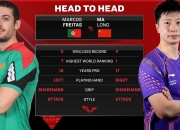 开云体育APP下载-关于葡萄牙队绝杀英格兰队，马龙统治全场的信息