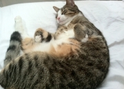 开云体育中国-铁血方程式，当山西煤城硬汉撞上F1极速拉文