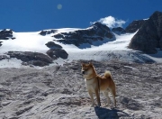 开云APP-铁幕之下的唯一惊喜，当卡瓦哈尔的偶然魔法，撞碎美国的必然剧本