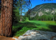 开云体育APP下载-惊艳灰熊现，布克定乾坤，末节风暴改写剧本