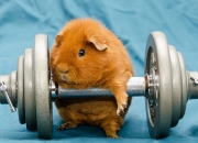 开云体育APP下载-当纽约遇见北京，英格拉姆跨越太平洋的证明之战