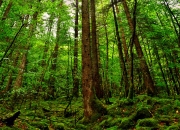 开云体育官网-改写规则，韩国在马赛的焦点战中重塑世界排名版图