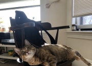 开云体育平台APP-残阵火箭引爆更衣室风暴！擎天柱浓眉让对手苦叹完全无解