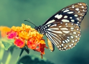 开云体育-NBA双星闪耀，莫兰特绝杀定乾坤，马刺逆转奇才显韧性