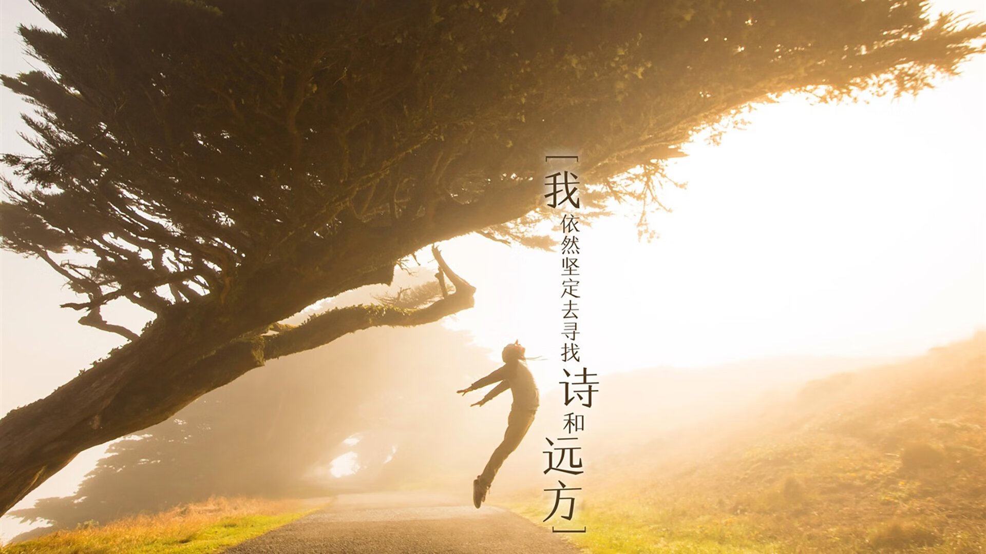 帝国军团与翼骑兵的对决,当罗马的钢铁洪流淹没波兰平原