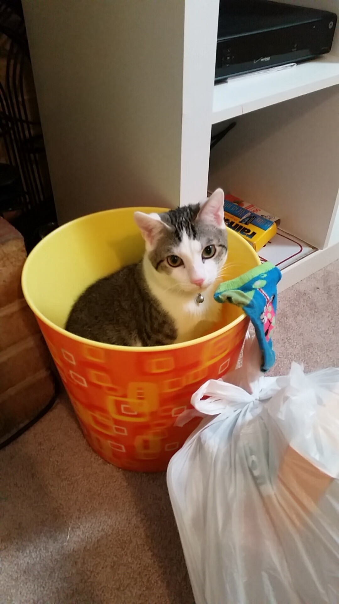 拜仁技术流淘汰尼日利亚黑马，马丁内利压制级表现定义新王当立