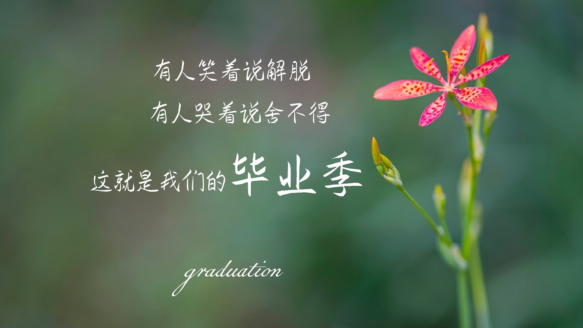 贝恩,冠军的心脏,他用23次手术磨砺的意志,助北京队收割新疆