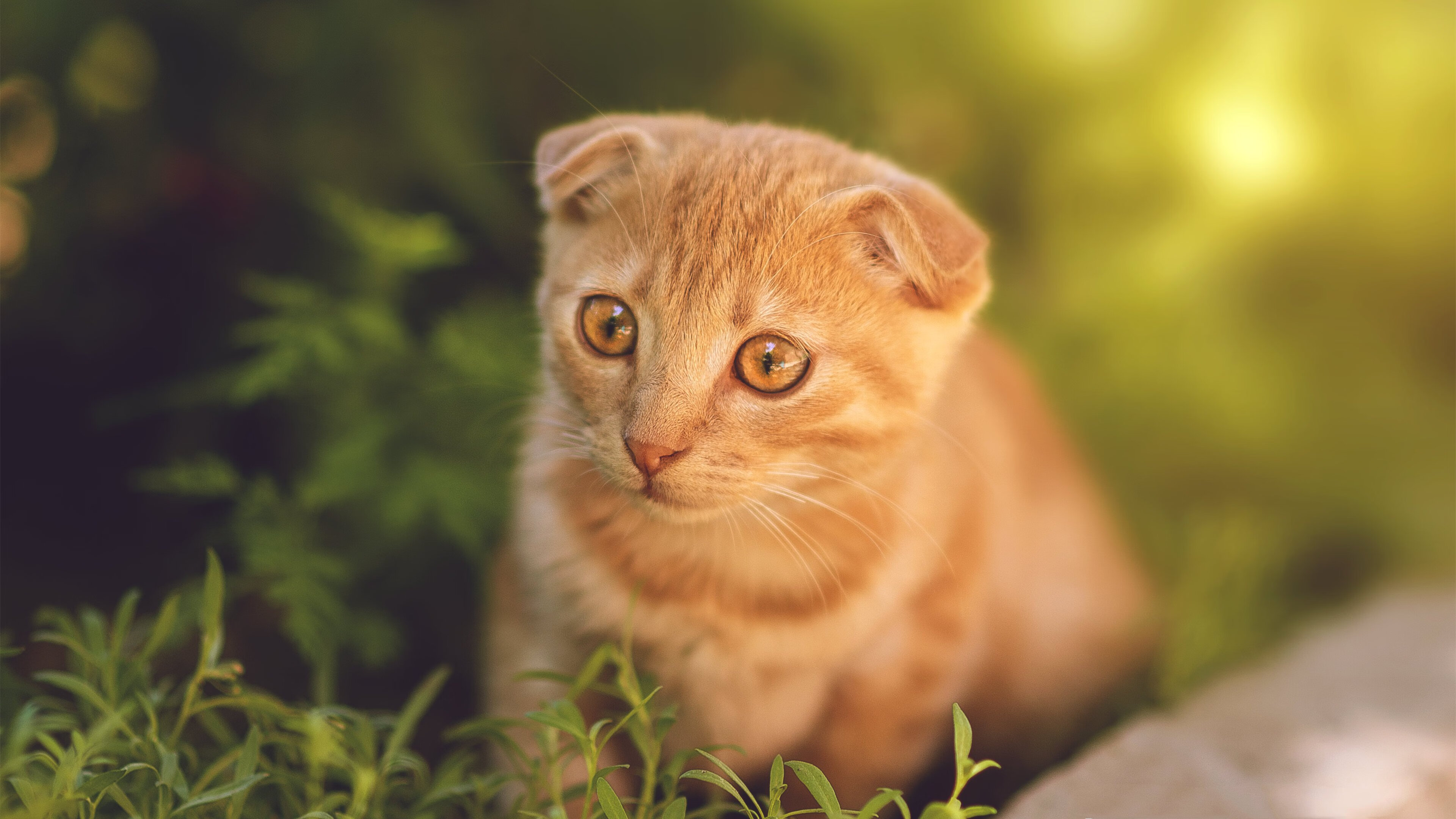 惊天逆转！威尔士力克秘鲁，布鲁诺一战封神