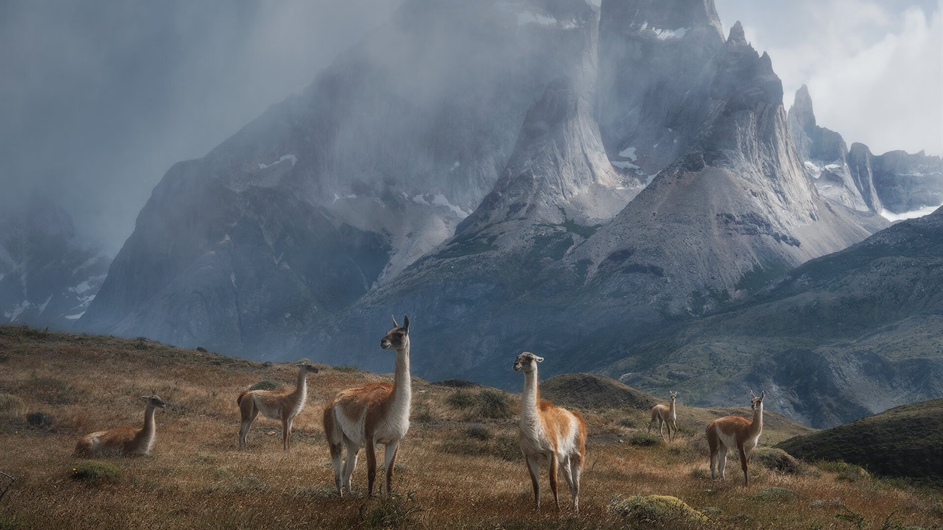 绿茵场上的双面叙事,莱奥的永恒铭刻与切尔西的集体风暴