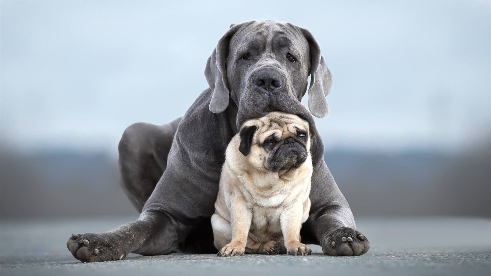 凯塞多，手术刀般的冷静，刺穿美利坚的钢铁防线