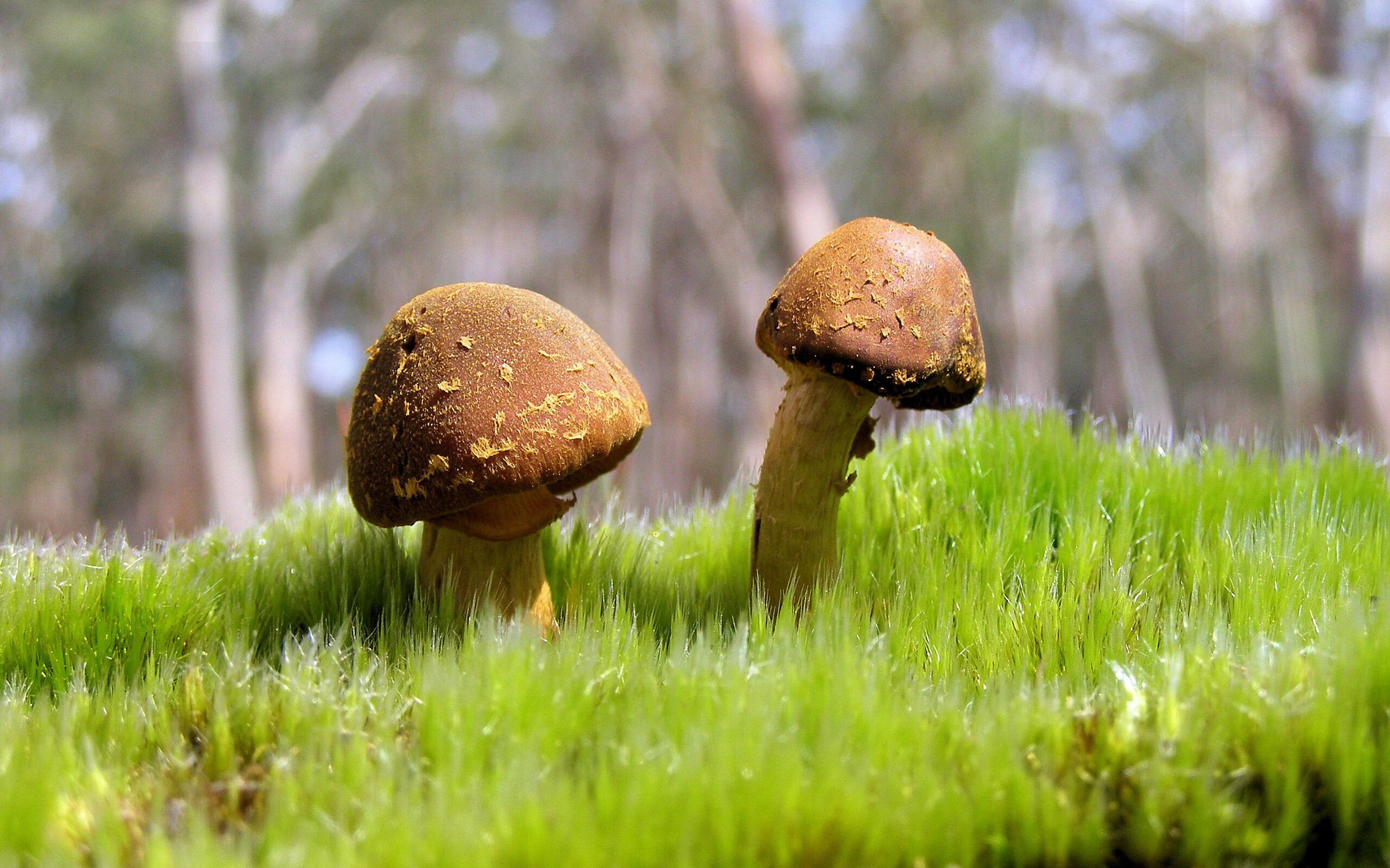 手术刀的寒芒，迪马利亚在排名争夺夜的华丽独舞