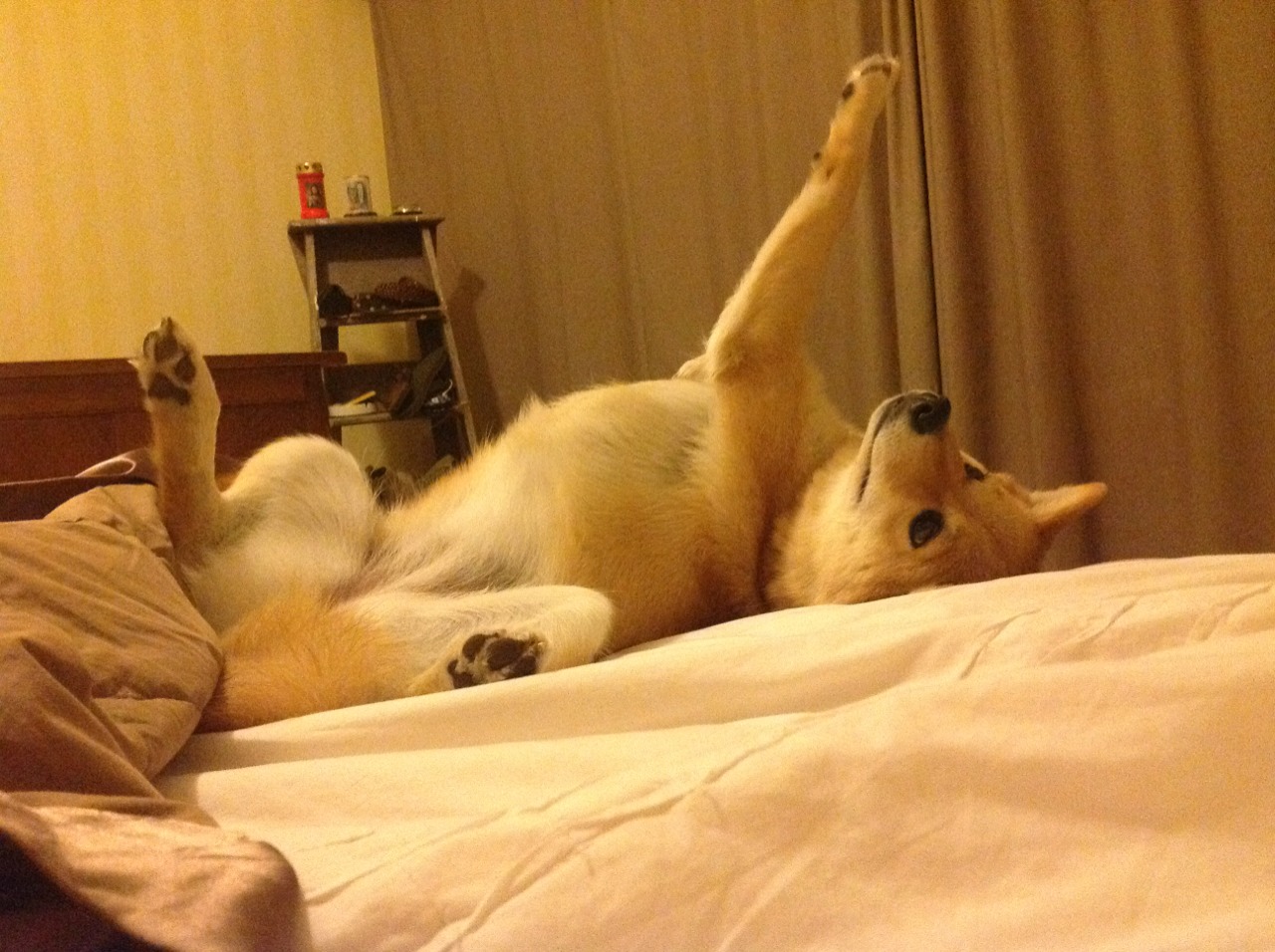 巴库!开罗!巴塞罗那!三场以精准为名的焦点之战