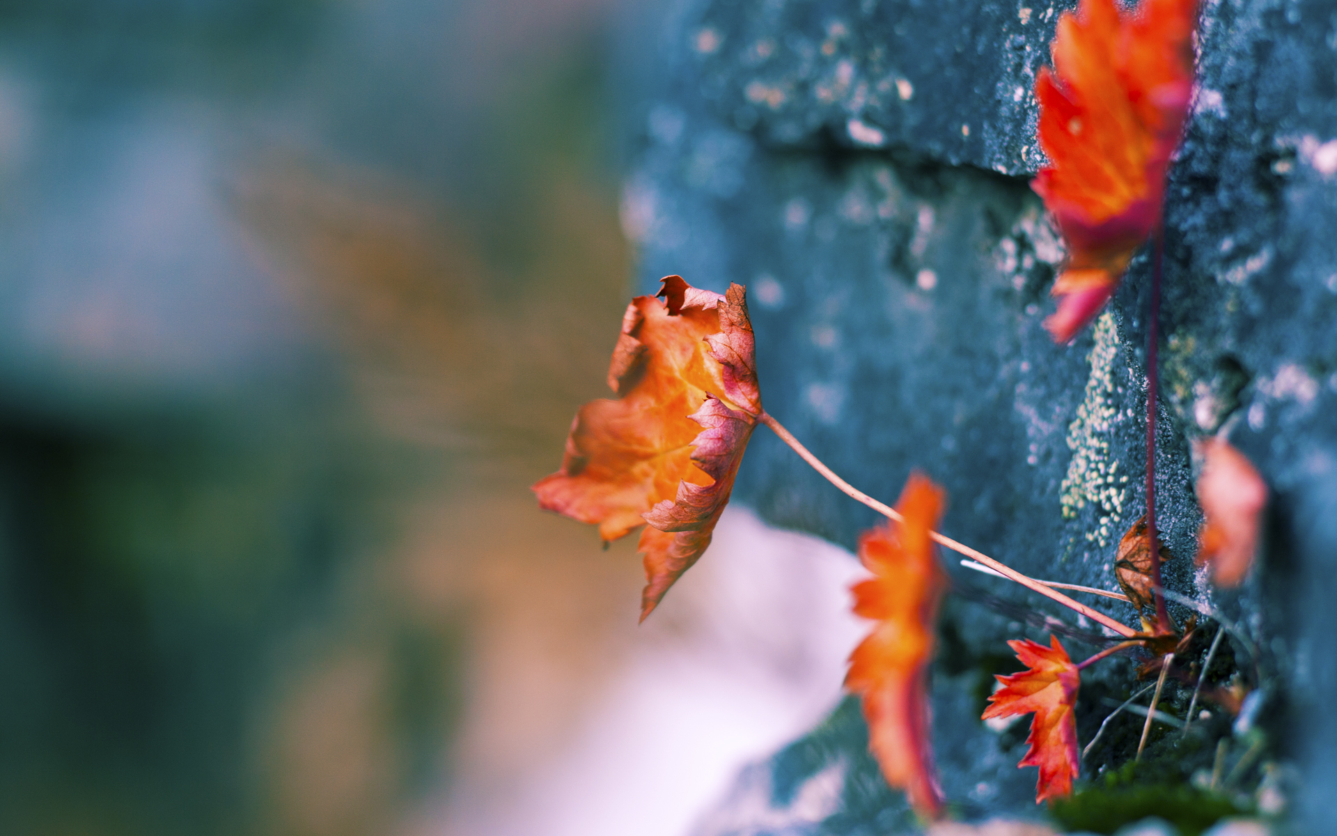 当坚固的盾被迫成为矛,阿劳霍的那次无解换位与西班牙足球的哲学转身