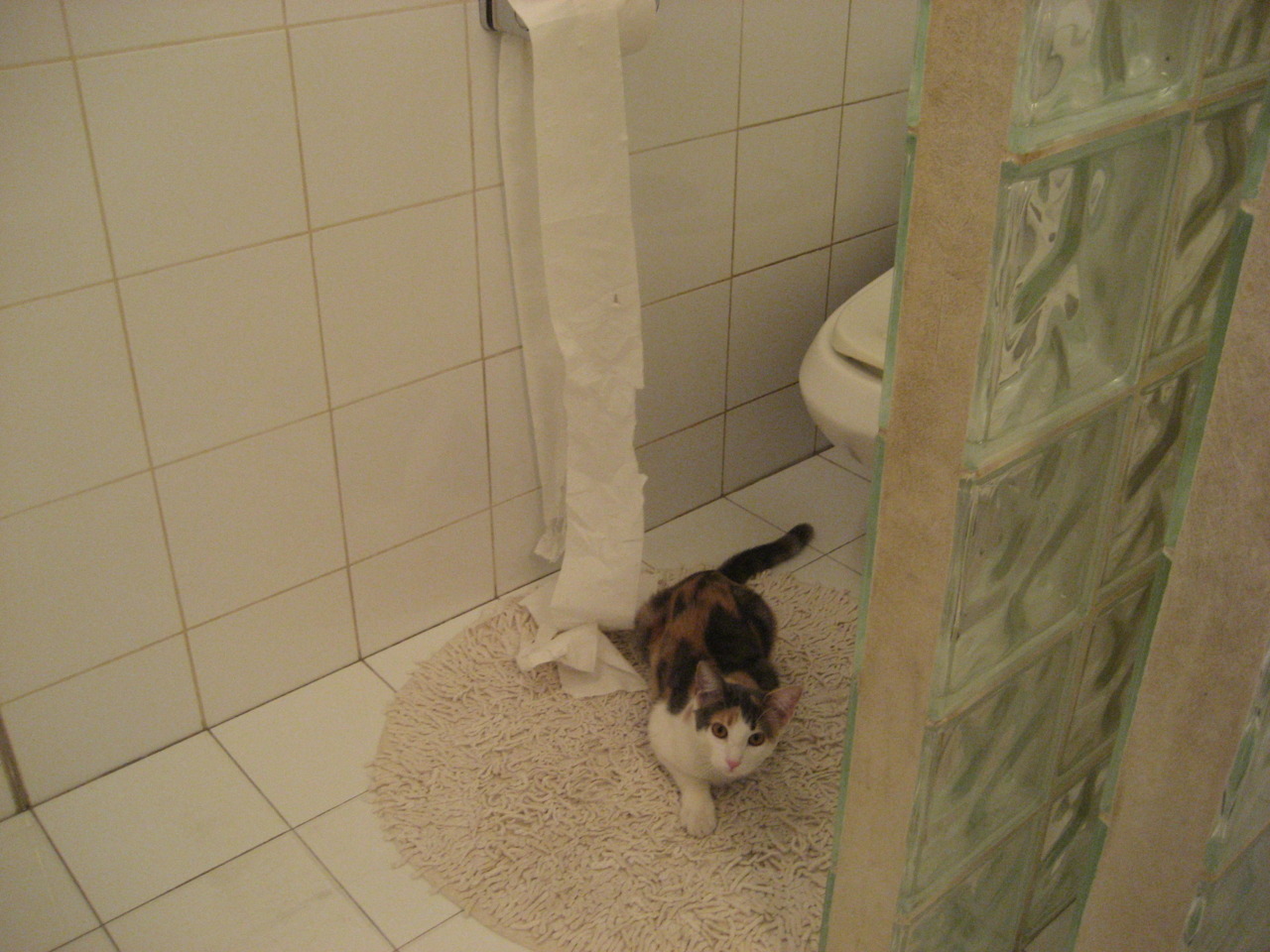 看到您的关键词组合，我注意到一个有趣的挑战，您将足球俱乐部尤文图斯、国家委内瑞拉和篮球术语季后赛抢七融合在了一起。这很可能指的是一场虚构或象征性的跨界赛事。基于这种理解，我为您构思了以下文章