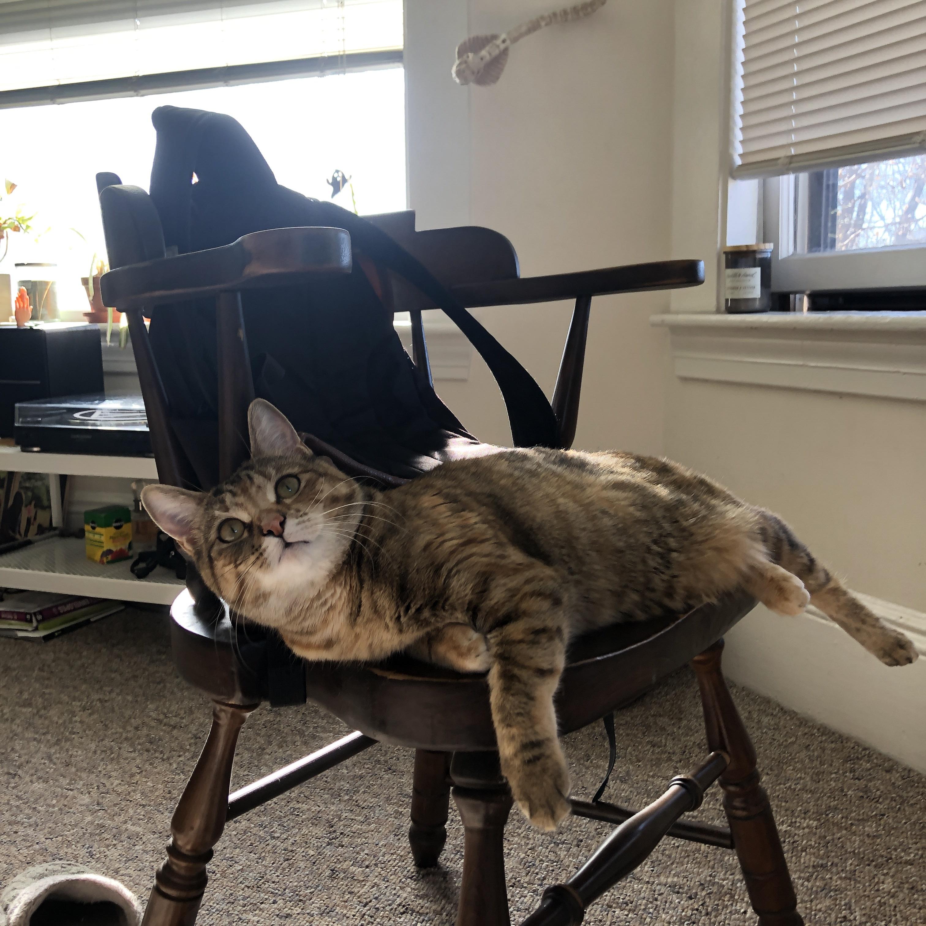 残阵火箭引爆更衣室风暴！擎天柱浓眉让对手苦叹完全无解