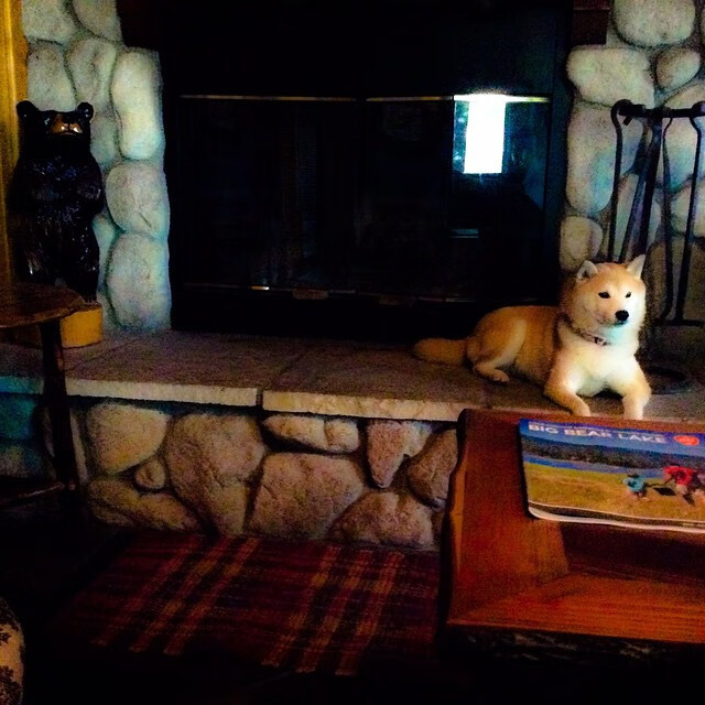 掌控者，库里如何用能量守恒的魔法翻盘快船