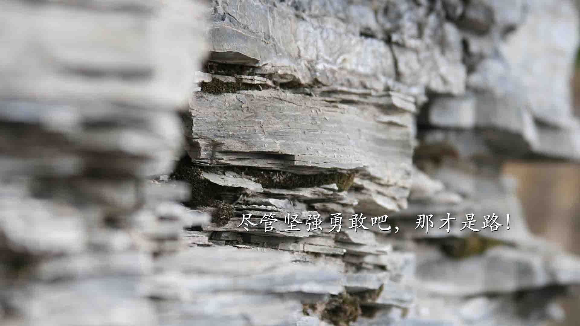 命运的双重奏,贝林厄姆的加冕之夜,2026世界杯H组匈牙利与秘鲁的生死博弈