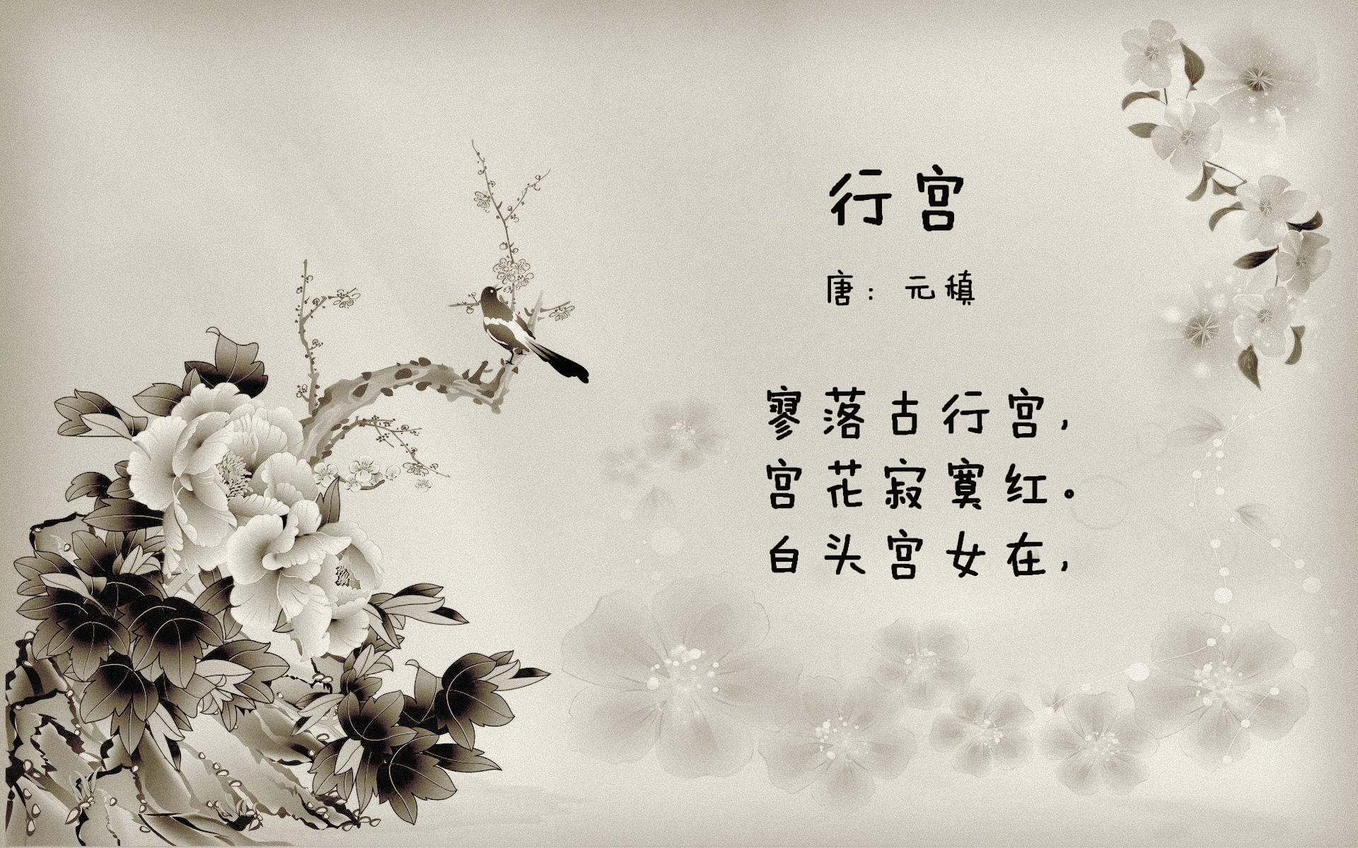 孤星耀世,2026世界杯G组焦点战,C罗铁骑踏碎三狮,波兰书写唯一神迹