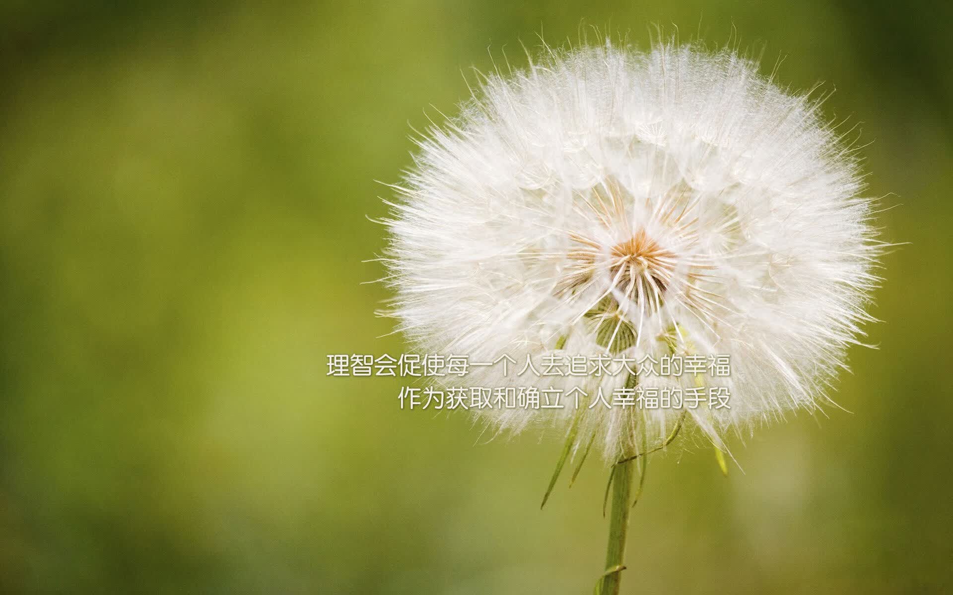 绝境之巅,2026世界杯E组生死战,梅西闪电破局,瑞士铁骑碾碎智利防线