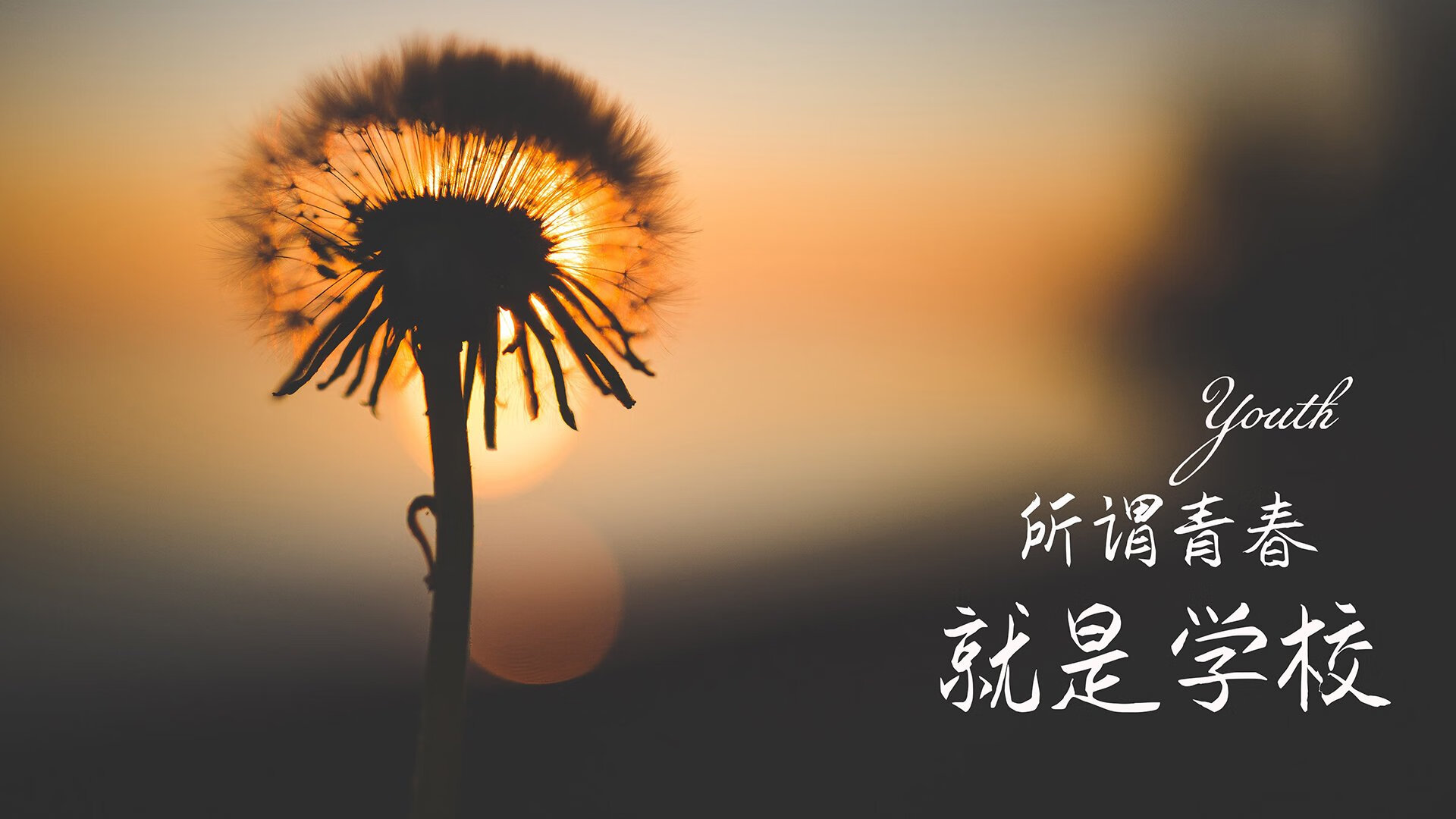 秘鲁风暴席卷绿茵,久保建英闪耀头名之争—世界杯小组赛的唯一剧本