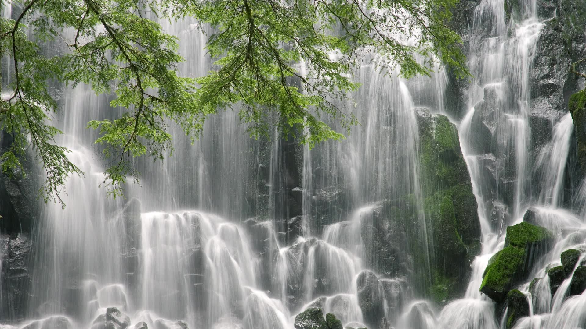 这是一篇为您定制的深度文章。为了让唯一性更突出,我将视角聚焦在宿命对决与人性韧性之上,而非简单描述比分