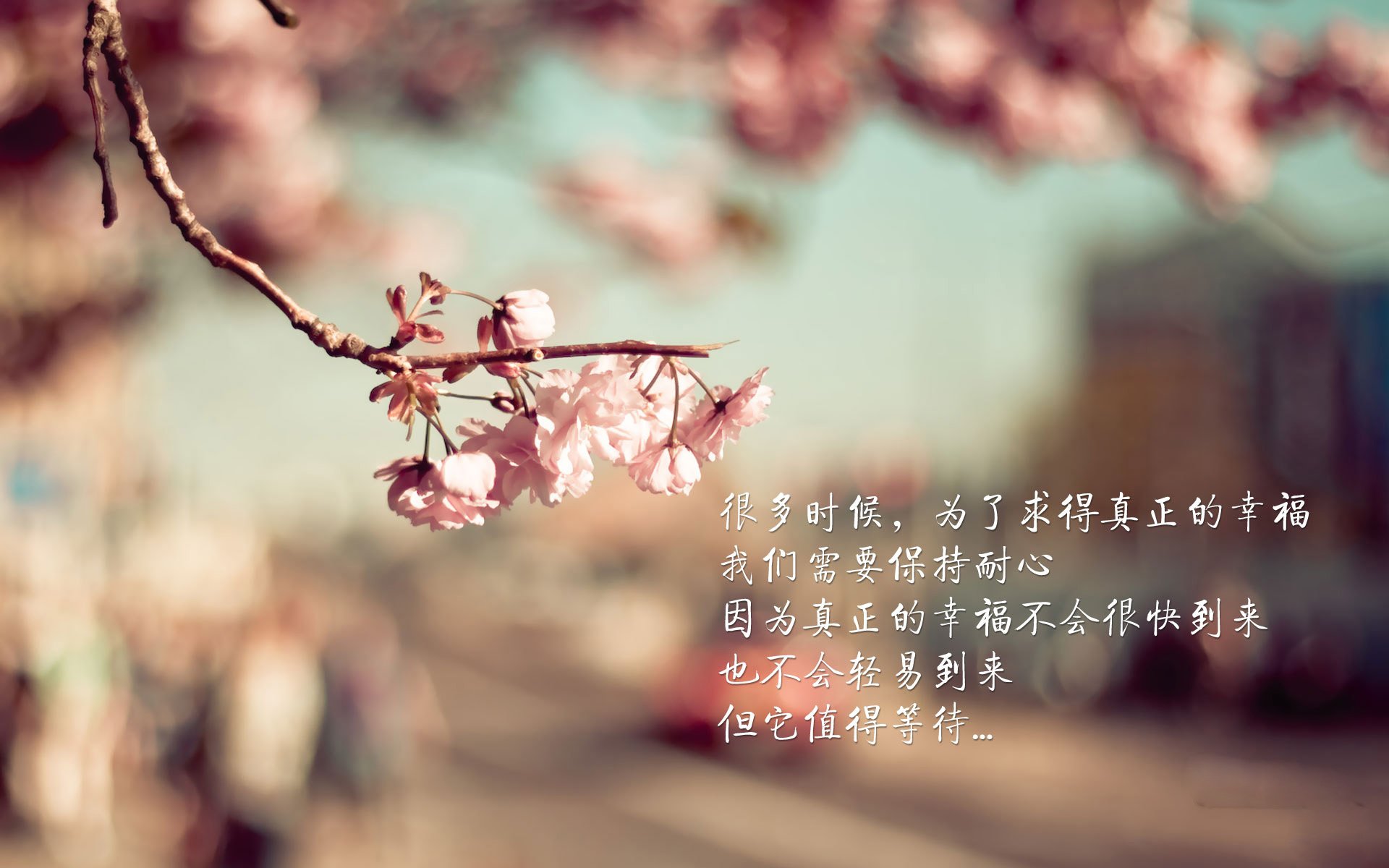 沙漠之狐的复仇,突尼斯风暴席卷哥本哈根,萨内一剑封喉写就2026世界杯最冷神话